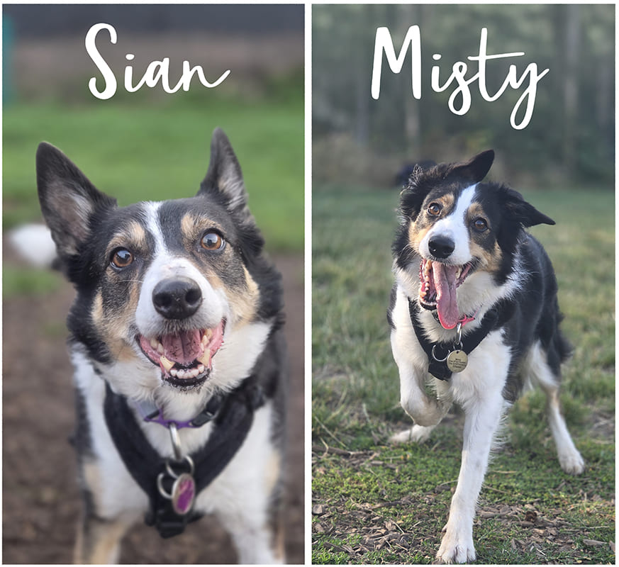 Siand and Misty